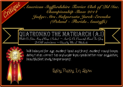 Quatroniko The Matriarch.png
